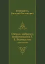 Очерки, наброски, воспоминания В.В. Верещагина. с рисунками - В.В. Верещагин