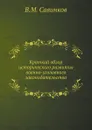 Краткий обзор исторического развития военно-уголовного законодательства - В.М. Савинков