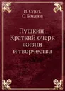 Пушкин. Краткий очерк жизни и творчества - И. Сурат, С. Бочаров