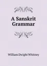 A Sanskrit Grammar - Whitney William Dwight