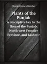 Plants of the Punjab. A descriptive key to the flora of the Punjab, North-west Frontier Province, and Kashmir - Charles James Bamber