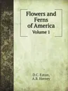 Flowers and Ferns of America. Volume 1 - D.C. Eaton, A.B. Hervey