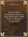 Cajus Sollius Apollinaris Sidonius und Seine Zeit, Nach Seinen Werken Dargestellt - Michael Fertig