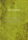 Ameisen, Bienen Und Wespen. Beobachtungen Uber Die Lebensweise Der Geselligen Hymenopteren - John Lubbock