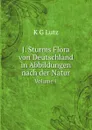 J. Sturms Flora von Deutschland in Abbildungen nach der Natur. Volume 1 - K G Lutz