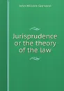 Jurisprudence or the theory of the law - John William Salmond