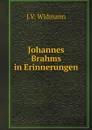 Johannes Brahms in Erinnerungen - J.V. Widmann