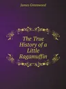 The True History of a Little Ragamuffin - James Greenwood