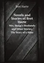 Novels and Stories of Bret Harte. Mrs. Skagg.s Husbands and Other Stories. The Story of a Mine - Bret Harte