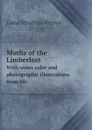 Moths of the Limberlost. With water color and photographic illustrations from life - Gene Stratton-Porter