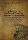 A Sketch of the Geology of Tennessee. Embracing a Description of Its Minerals and Ores, Their Variety and Quality, Modes of As-Saying and Value - Richard Owen Currey