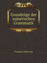 Grundzuge der sumerischen Grammatik - Friedrich Delitzsch