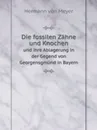 Die fossilen Zahne und Knochen. und ihre Ablagerung in der Gegend von Georgensgmund in Bayern - Hermann von Meyer