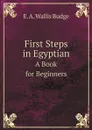 First Steps in Egyptian. A Book for Beginners - E. A. Wallis Budge