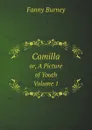 Camilla: Or, A Picture of Youth. Volume 1 - Fanny Burney