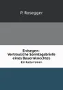 Erdsegen: Vertrauliche Sonntagsbriefe eines Bauernknechtes. Ein Kulturroman - P. Rosegger