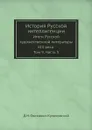 История Русской интеллигенции. Итоги Русской художественной литературы XIX века. Том 9. Часть 3 - Д.Н. Овсянико-Куликовский