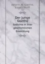 Der junge Goethe. Gedichte in ihrer geschichtlichen Enwicklung - J.W. Goethe, E. Wolff