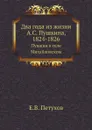 Два года из жизни А.С. Пушкина, 1824-1826. Пушкин в селе Михайловском - Е.В. Петухов