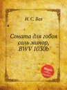 Соната для гобоя соль минор, BWV 1030b - И. С. Бах