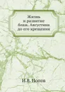 Жизнь и развитие блаж. Августина до его крещения - И.В. Попов