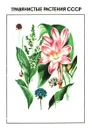 Травянистые растения СССР. Том 1 - Ю.Е. Алексеев