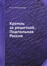 Кремль за решеткой. Подпольная Россия - М. А. Спиридонова