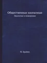 Общественные насекомые. Экология и поведение - М. Брайен