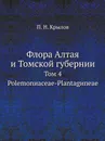 Флора Алтая и Томской губернии. Том 4. Polemonиaceae-Plantagиneae - П. Н. Крылов