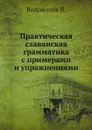 Практическая славянская грамматика с примерами и упражнениями - В. Водовозов