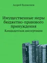 Имущественные меры бюджетно-правового принуждения. Кандидатская диссертация - Андрей Евдокимов