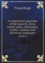 A comparative grammar of the Sanscrit, Zend, Greek, Latin, Lithuanian, Gothic, German and Sclavonic languages. Volume 1 - Franz Bopp