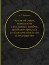Краткий очерк микологии с указанием грибов, наиболее вредных в сельском хозяйстве и лесоводстве - И. П. Бородин
