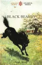 Black Beauty. with 21 original illustrations by the author (Aziloth Books) - Anna Sewell