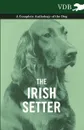 The Irish Setter - A Complete Anthology of the Dog - Various