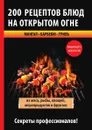 200 рецептов блюд на открытом огне - В. С. Водяницкий