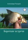 Короткие встречи - Александр Токарев