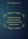 Организация независимой стратегической кавалерии - К.И. Дружинин