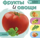 Фрукты и овощи - Светлана Станкевич