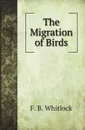 The Migration of Birds - F. B. Whitlock