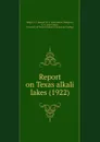 Report on Texas alkali lakes. 1922 - C.C. Meigs