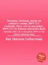 Помяни, Господи, когда он пойдет с нами, BWV 217 - И. С. Бах