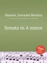 Sonata in A minor - G.B. Bassani
