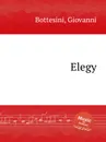 Elegy - G. Bottesini