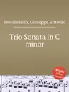 Trio Sonata in C minor - G. A. Brescianello