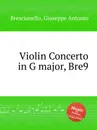 Violin Concerto in G major, Bre9 - G. A. Brescianello