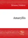 Amaryllis - F. Brisson