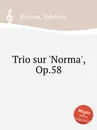 Trio sur 'Norma', Op.58 - F. Brisson