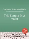 Trio Sonata in A major - F. M. Cattaneo