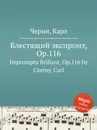 Блестящий экспромт, Op.116. Impromptu Brillant, Op.116 - К. Черни